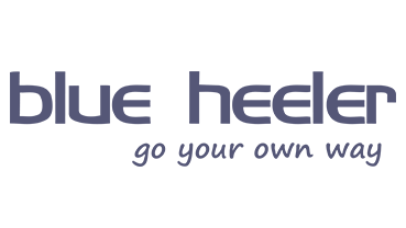 blue heeler